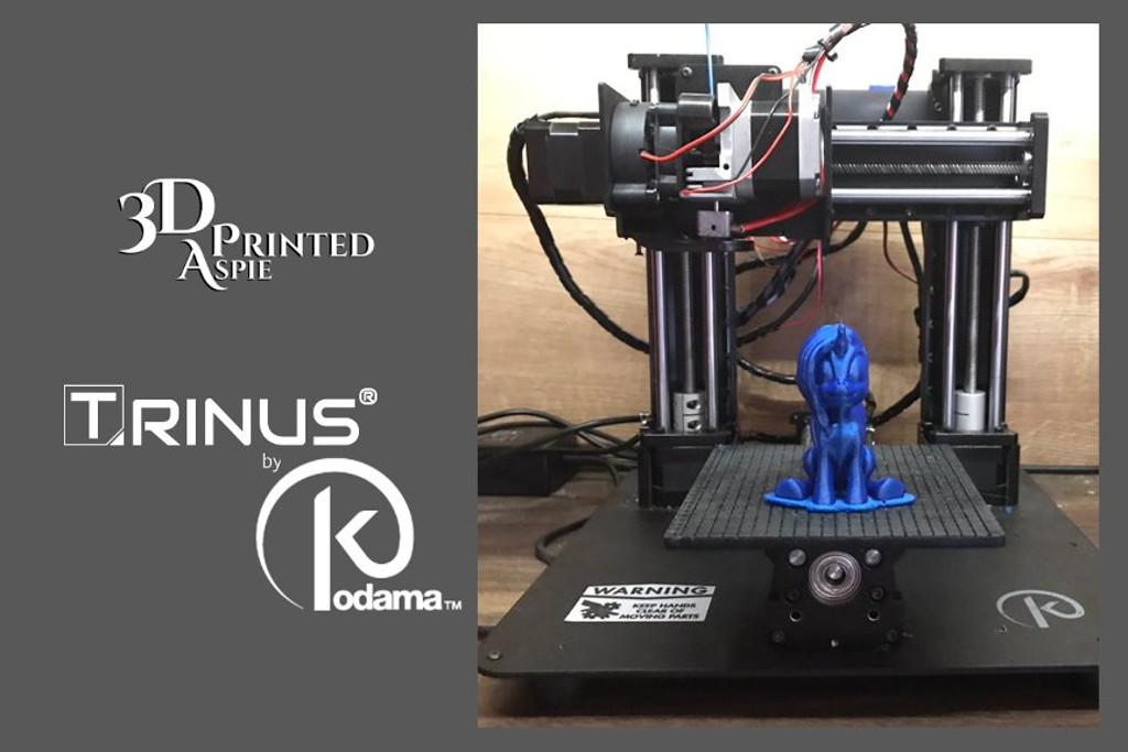 influenza Forstyrret astronaut Kodama Trinus 3D Printer Review by 3D Printed Aspie