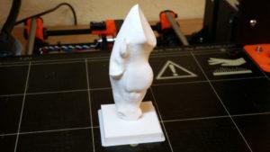 Scan The World - Marwari Horse Head