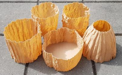 Vase Mode 3D Printing - 3D Scanned Tree Vases - Oak, Birch, and Pine Textures