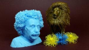 Hairy 3D Print Ideas - Einstein, Lion and Drooloop Flowers