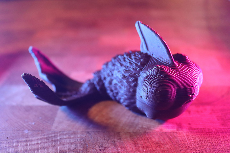 Fish 3D Printed in Chocolate
