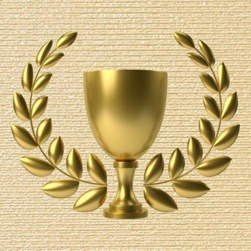 Design for 3D Printing World Cup Ranking