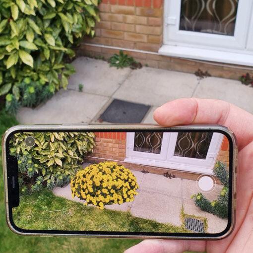 3D Scanned Flower Bed in AR Mode