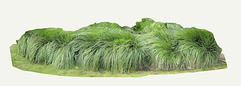 Failed 3D Scan - Thin Grass Plus Windy Weather Failed 3D Scan - Thin Grass Plus Windy Weather