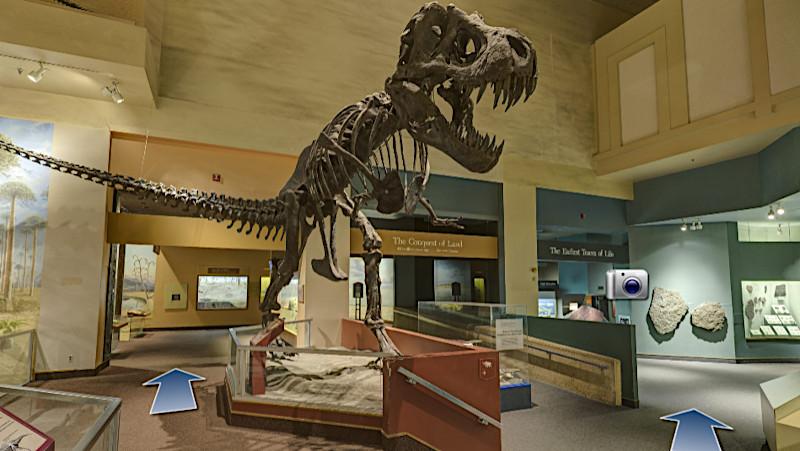 T-Rex Skeleton - Smithsonian Museum Virtual Tour T-Rex Skeleton - Smithsonian Museum Virtual Tour