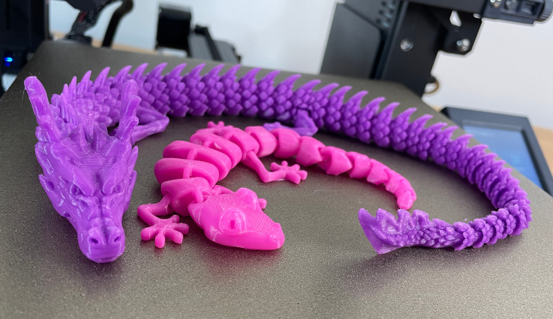 Articulated Dragon and Lizard
