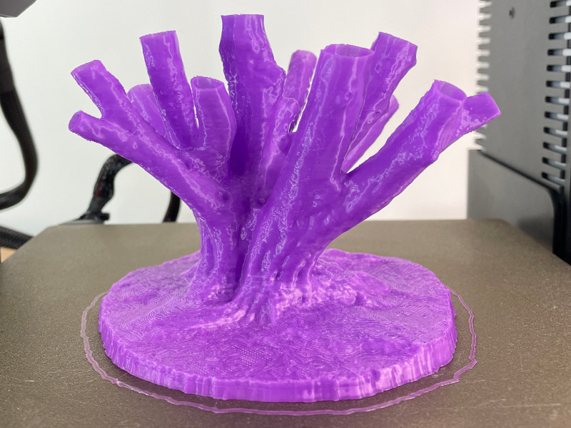 Print of 3D Scan