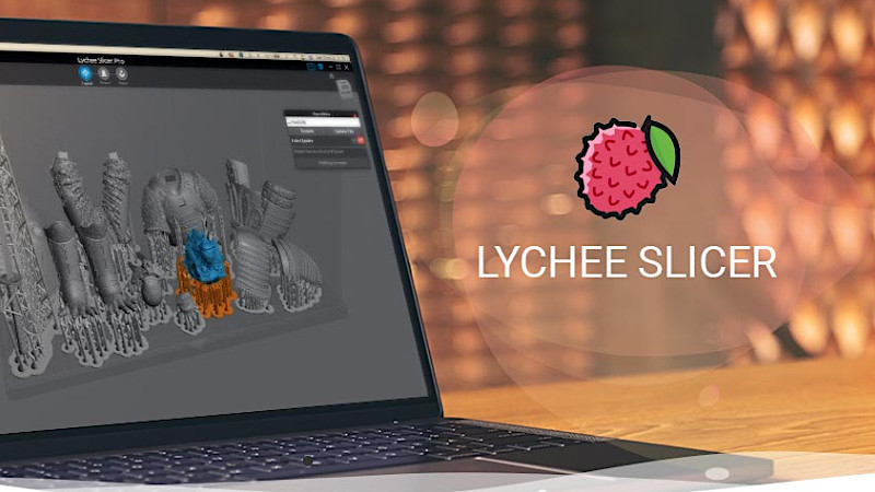 Lychee Homepage Screenshot