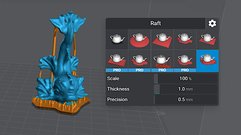 Raft options in Lychee