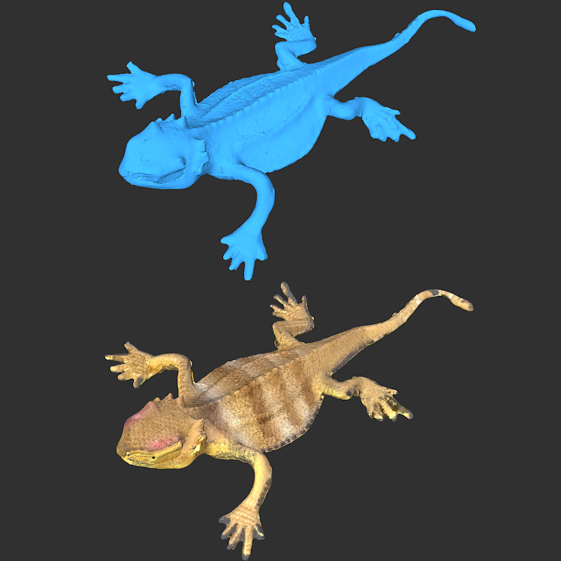 Lizards Scan Mesh and Colored Mesh