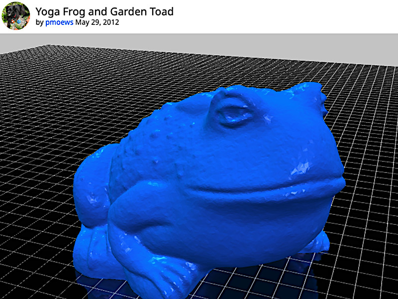 Garden Toad 3D Model