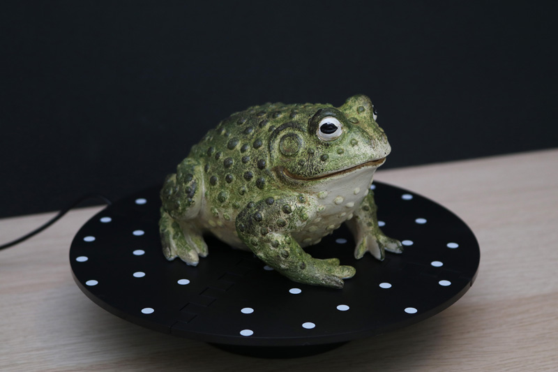 Toad on Turntable