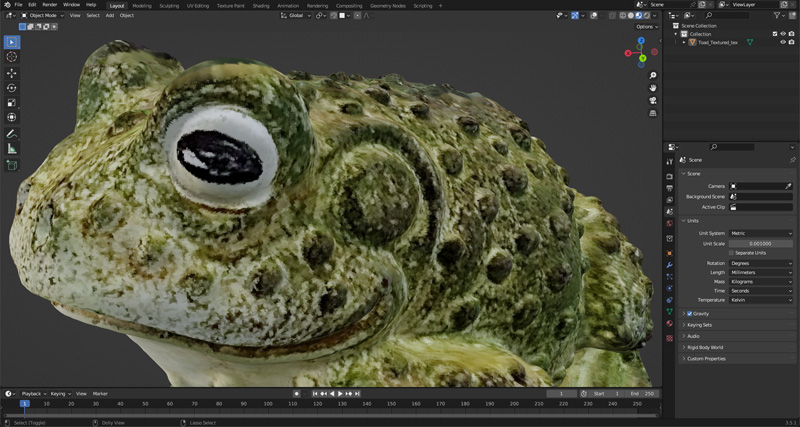Toad in Blender Close Look