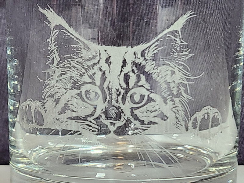 Peeking Kitten Engraved on the Glass