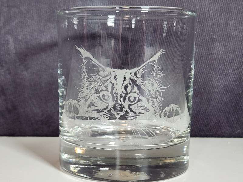 Peeking Kitten Engraved on the Glass