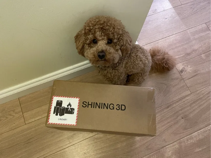 EINSTAR Rockit package from SHINING 3D next to a small dog for size comparison