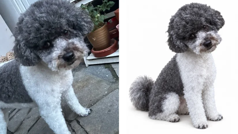 Original photo of Ella next to Meshy Agent generated 2D image