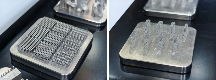 SnowPod metal lattice test plate and standalone support structures